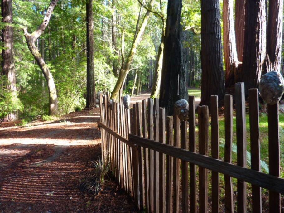 Ellie's Farmhouse Private & Sunny Houses for Rent in Mendocino