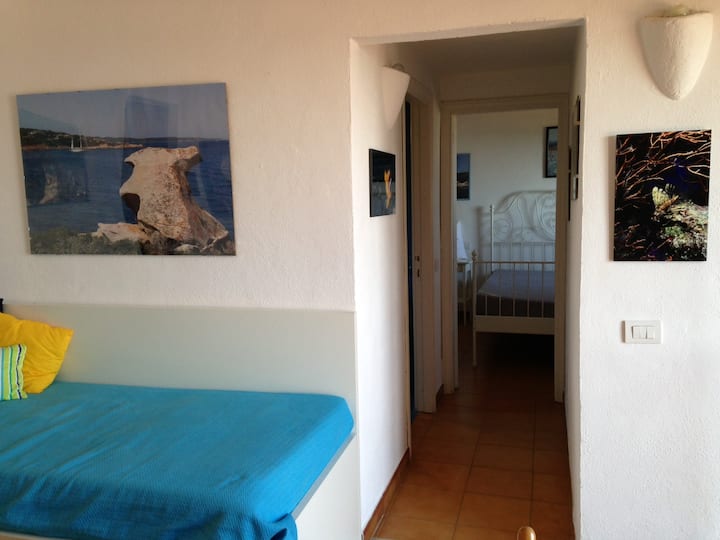 客厅和走廊x卧室