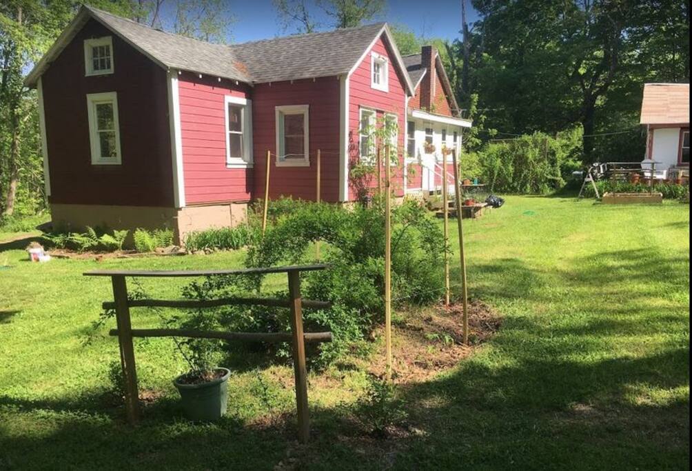 Main guesthouse, with berry trellis and tomato fence