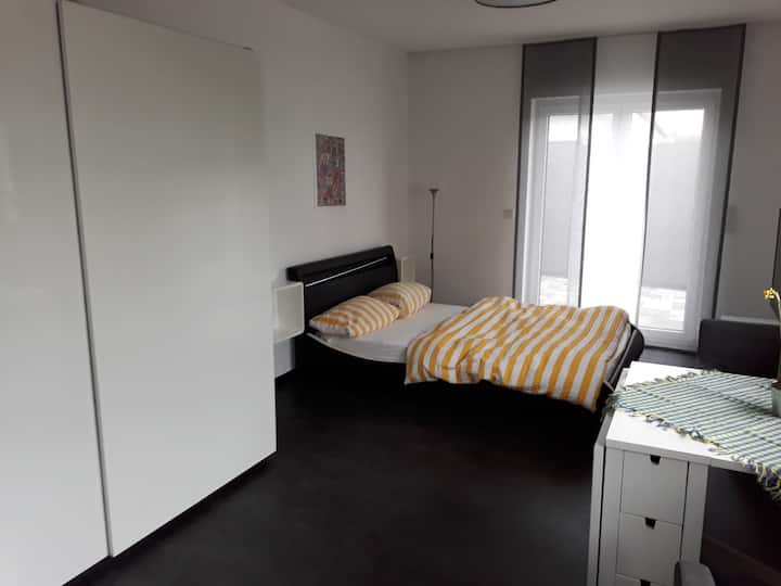 Modern single apartment in Ludwigshafen