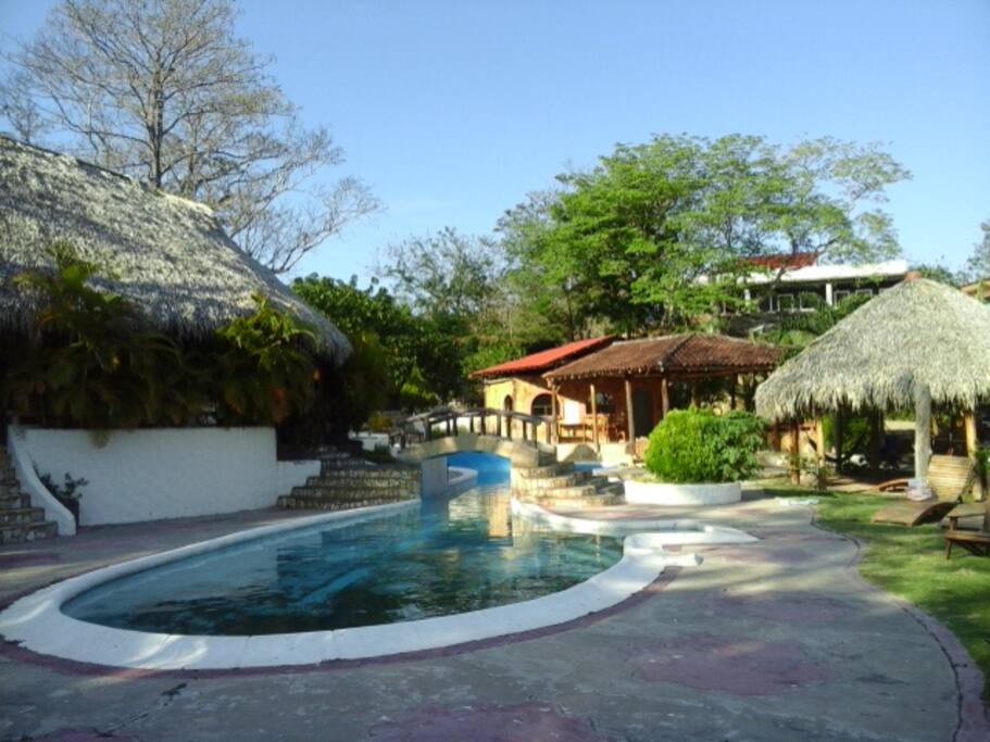 Pool and common area