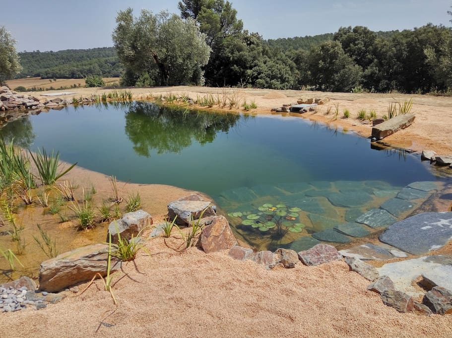 Piscina ecològica per al bany saludable, sense Clor ni productes químics perjudicials per la salut
