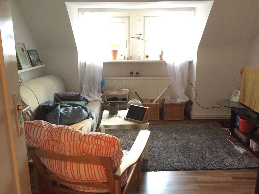 Living room can also be used as a bedroom