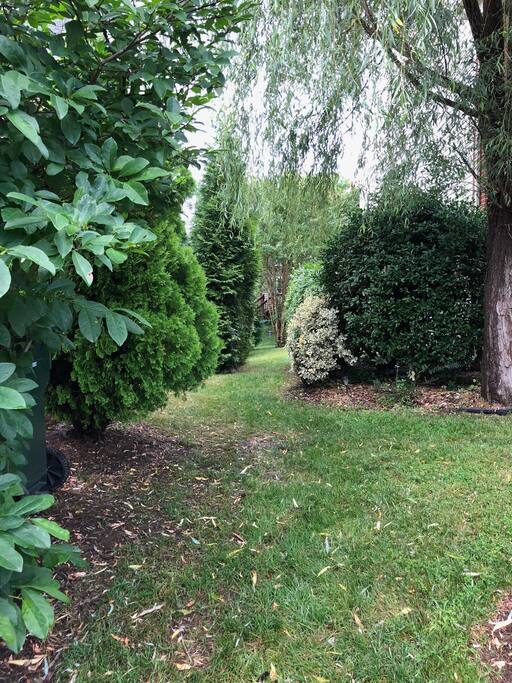 Backyard pathway