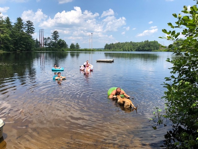 A calm water scene depicts individuals floating on colorful inflatables while enjoying the sun. A sandy area is visible along the shore, with a dock extending into the water. Lush green trees frame the serene landscape, providing a natural backdrop.