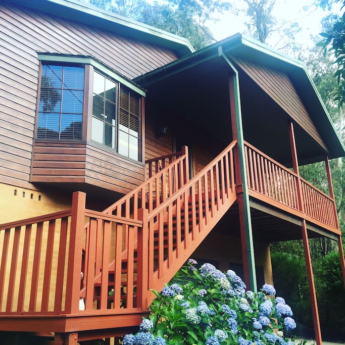 Elevated among the treetops surrounded by nature