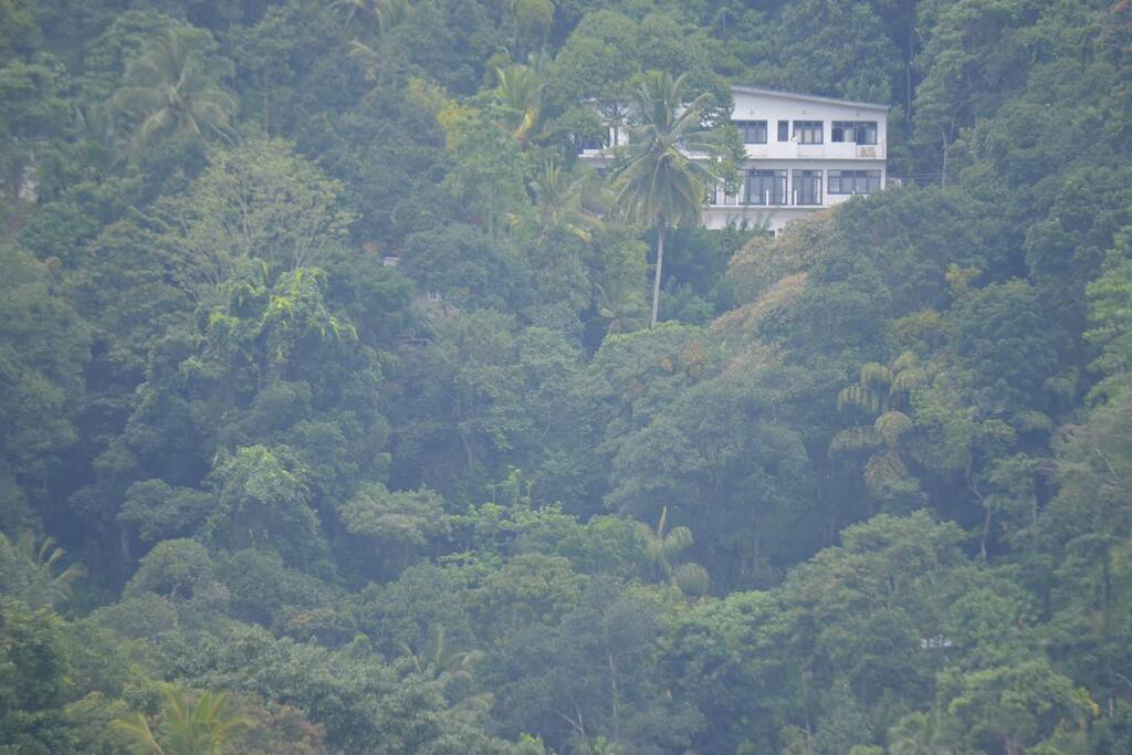our house from a distance