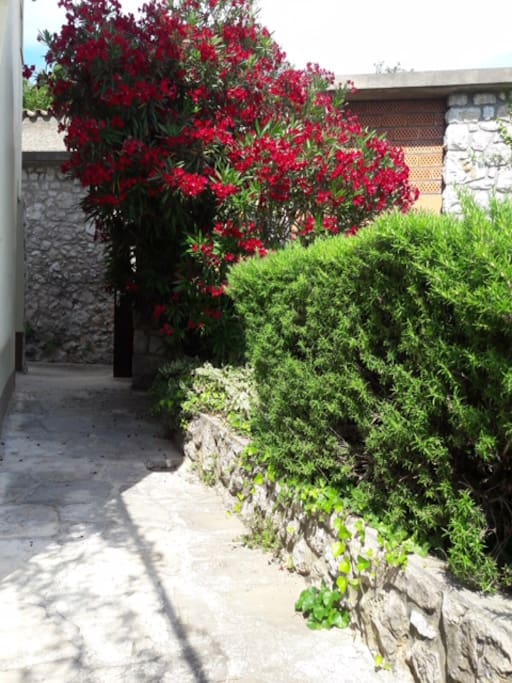 Entrance to Studio