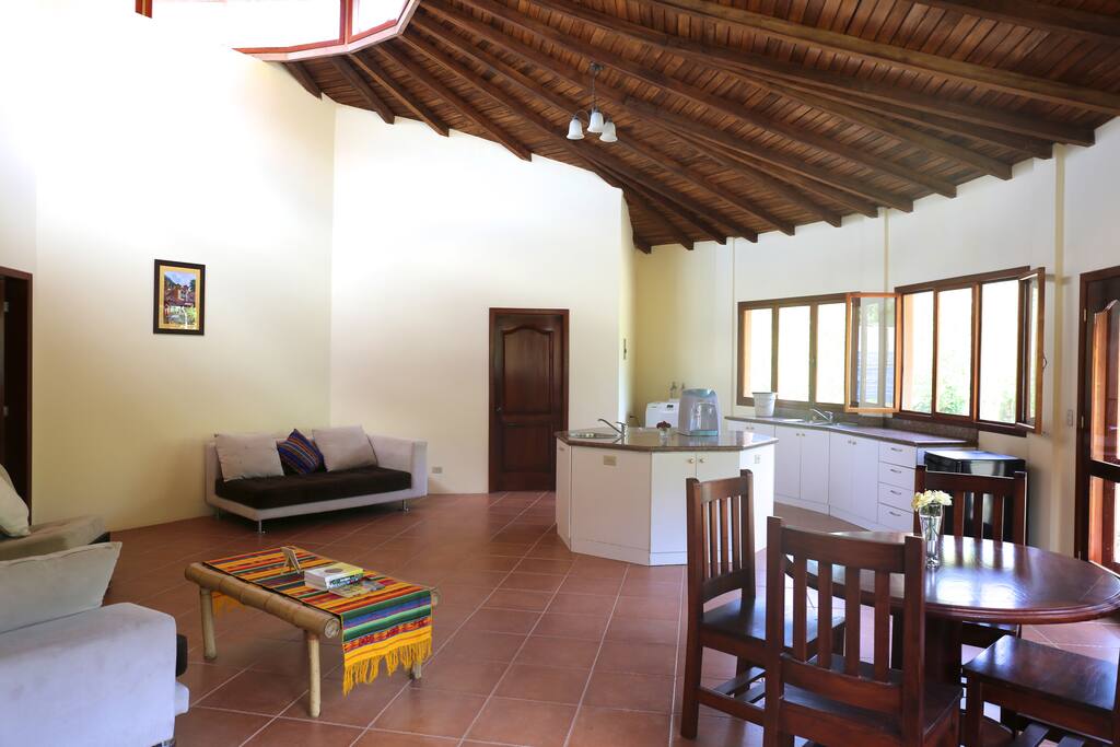 Living Room/Kitchen Area