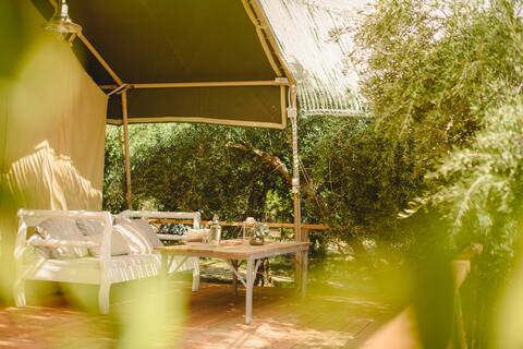 Glamping Poros: Canvas lodge hidden between trees