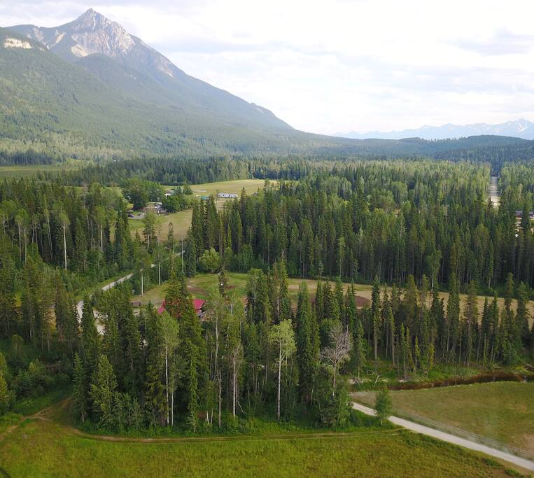 The beautiful Blaeberry Valley, with the barns red tin roof nestled amongst the trees