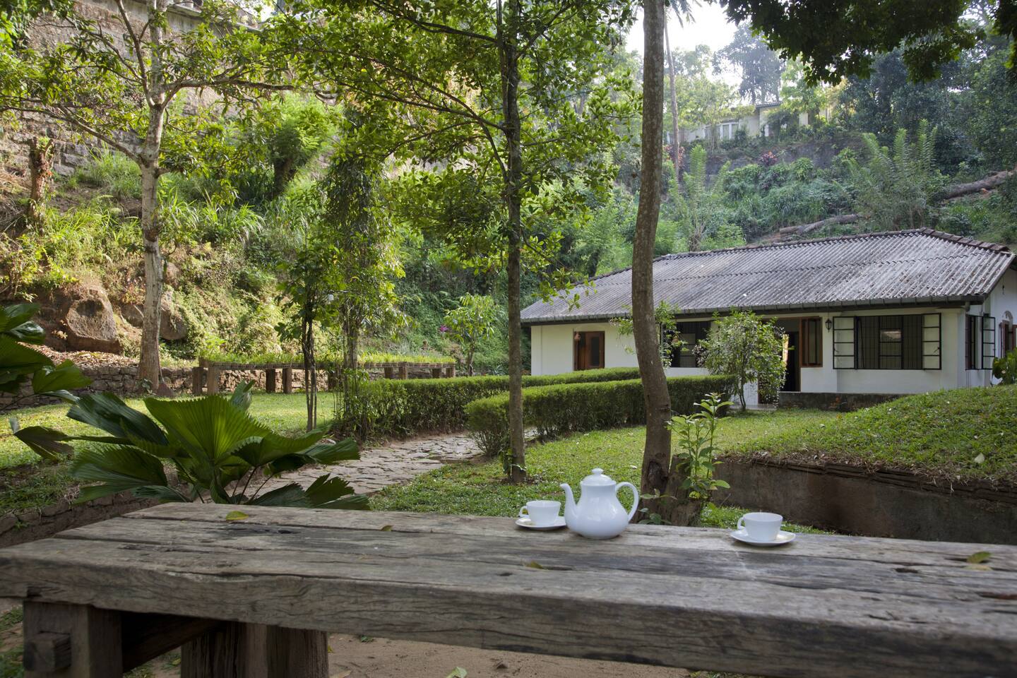 Kandy Cottage Creative Space Nature Lodges For Rent In Kandy