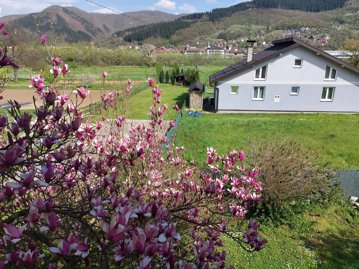 A view from the balcony captures blooming magnolia flowers in foreground, with a green landscape beyond. The neighboring house is situated on a grassy area, surrounded by trees and rolling hills. The distant mountains and village are visible under a clear sky.