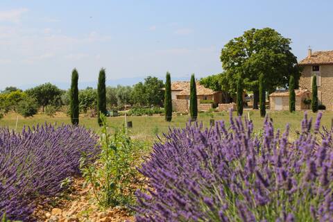 Pleasant farmhouse: Les Oliviers