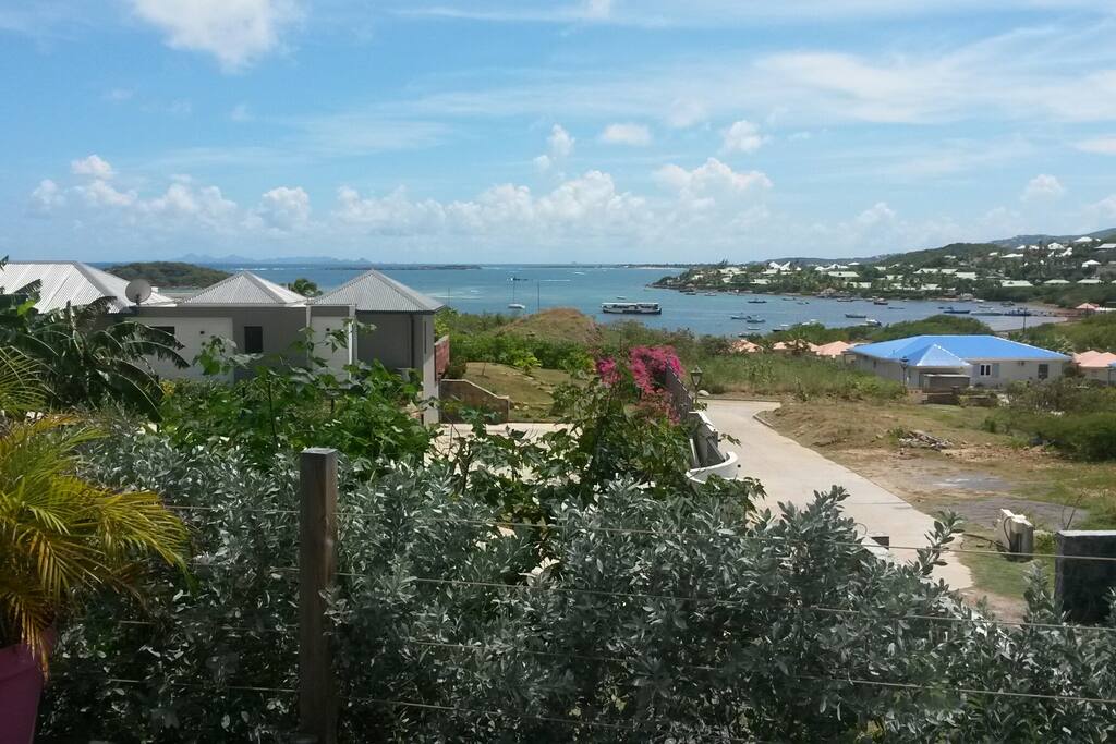 From the Bungalow