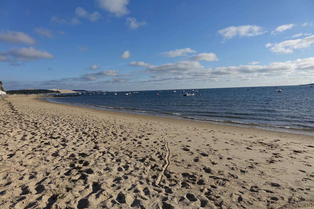 Plage à 200m