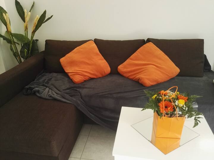 T2 Meublé Moderne, Parking, Jardin, Tout Confort - Saint-Gély-du-Fesc