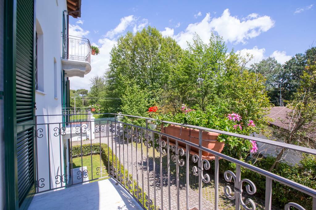View on the garden
