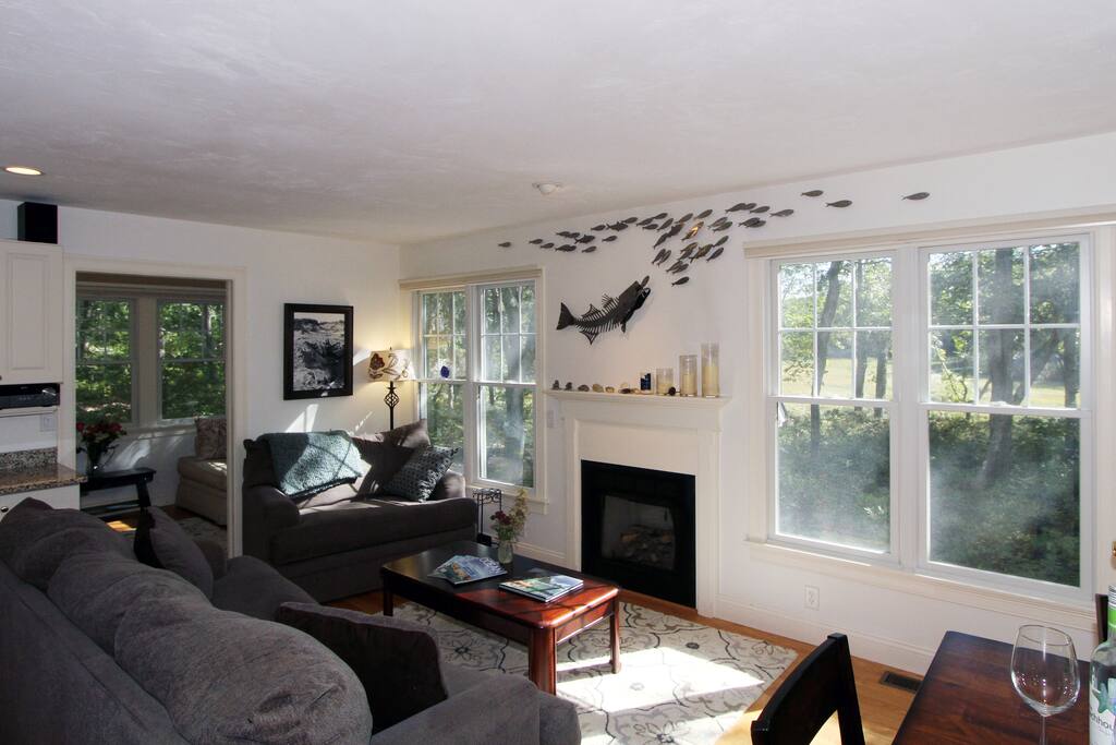 The living room features a gas fireplace, queen-size sleeper sofa, and views of the marsh