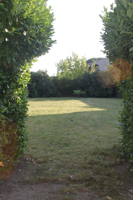 Un grand pré pour les enfants