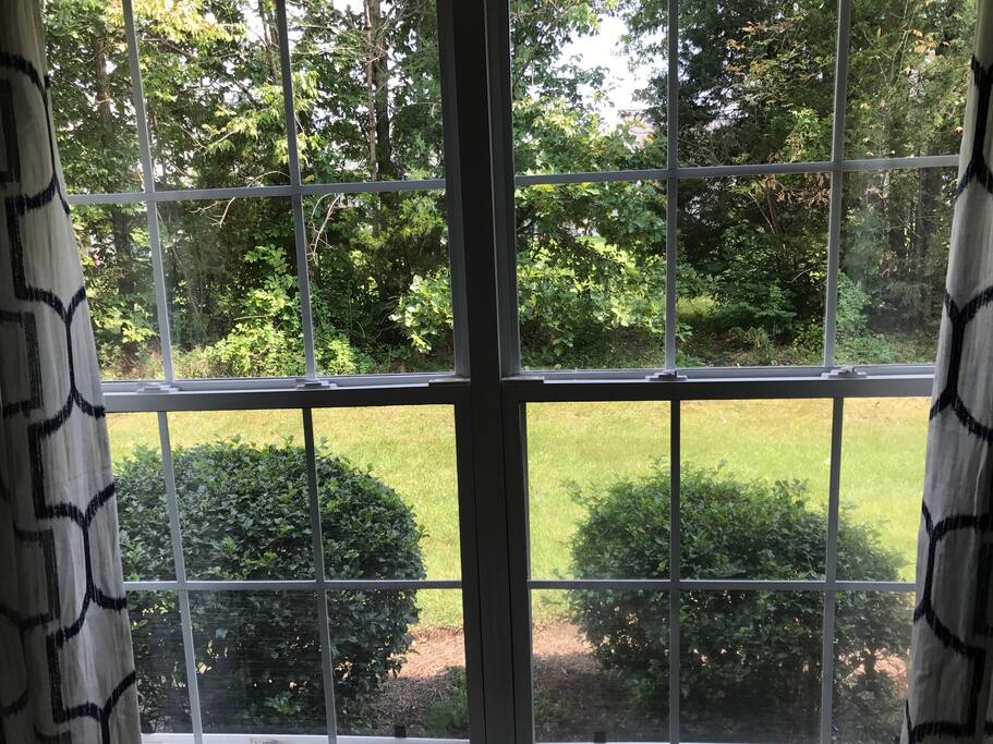 The View From Your Room