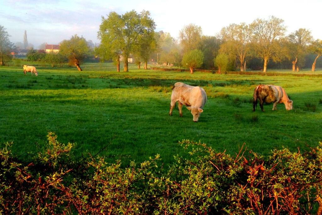 En pleine nature
