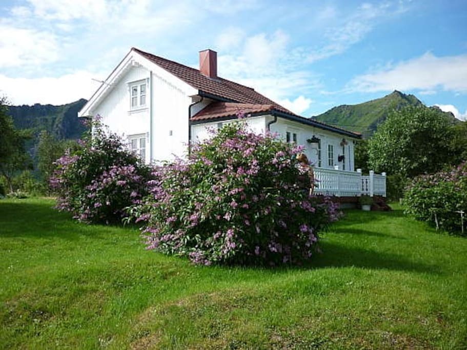 Koselig bestemorhus ved havet Houses for Rent in Leknes, Nordland, Norway