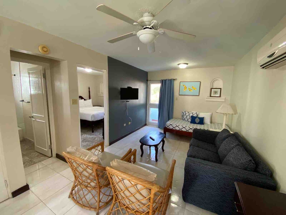 Living area with day bed and pull out couch 