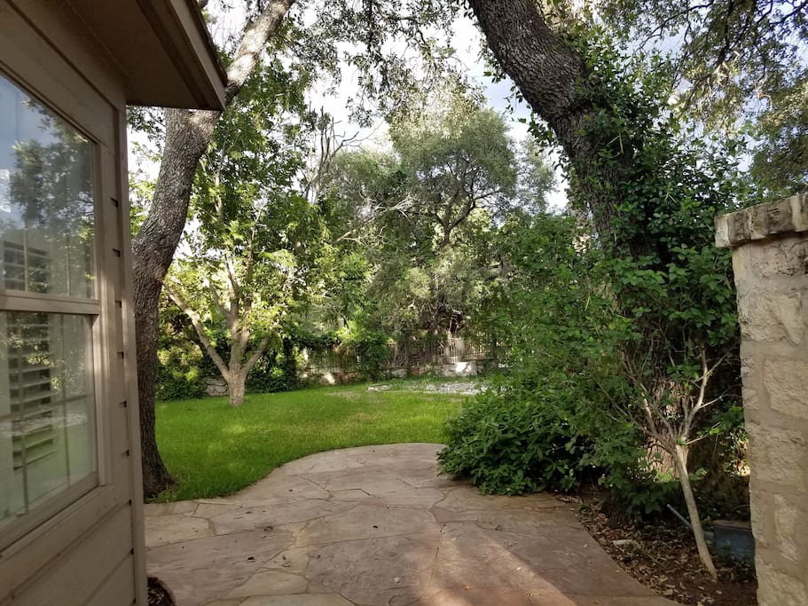 Beautiful side yard