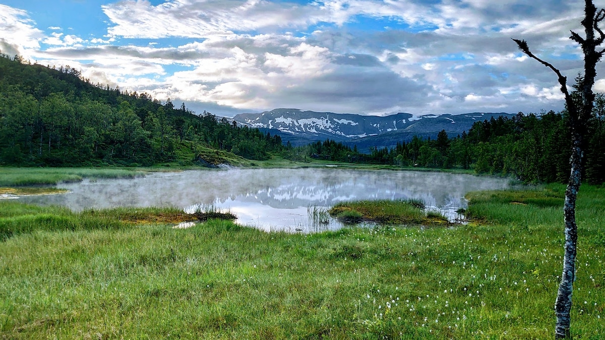 A serene landscape features a misty lake surrounded by lush green grass. The background is adorned with rolling hills and mountains under a partly cloudy sky, creating a peaceful atmosphere. Wildflowers can be seen dotting the grassy area, enhancing the natural beauty.