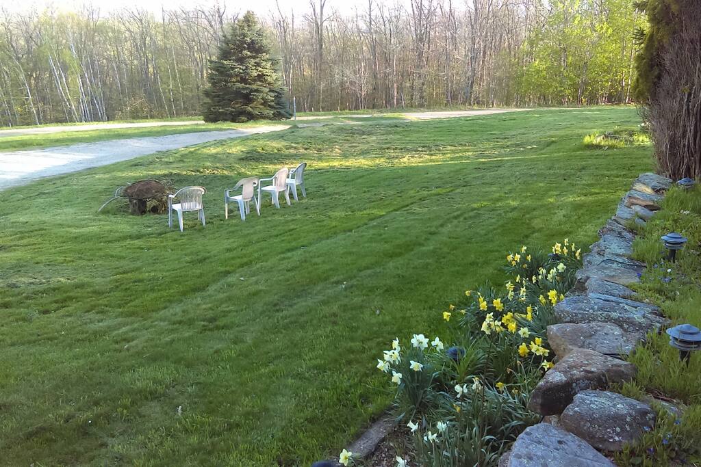 View from patio early spring before the trees fill with leaves.