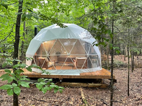 The Canopy - Dome in the Forest
