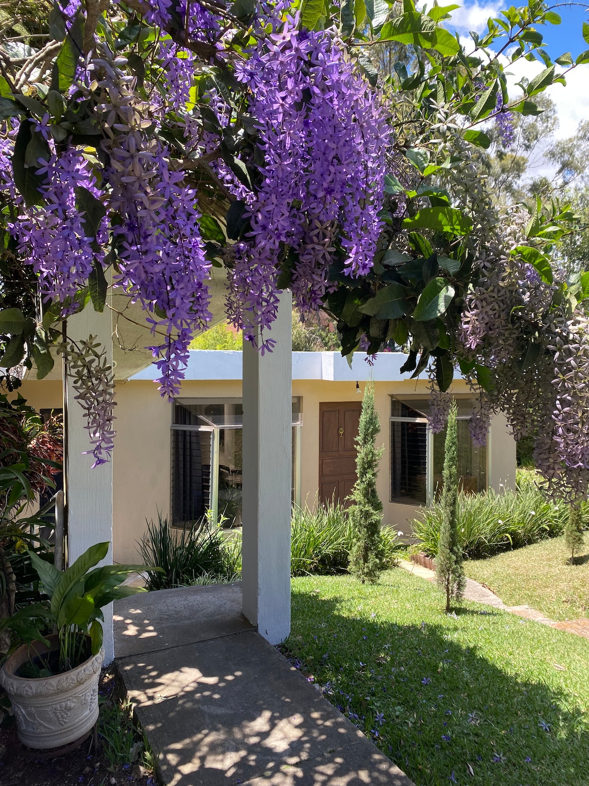 A charming exterior is framed by vibrant purple flowers cascading from overhead vines. The entrance features a stone pathway leading to a modern home with large windows and surrounding greenery, enhancing the welcoming atmosphere of the property.