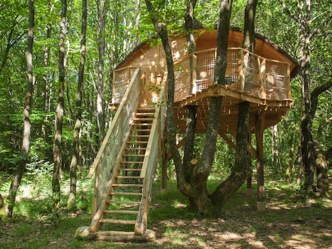 Glamping Tree house Tinto Treuscoat