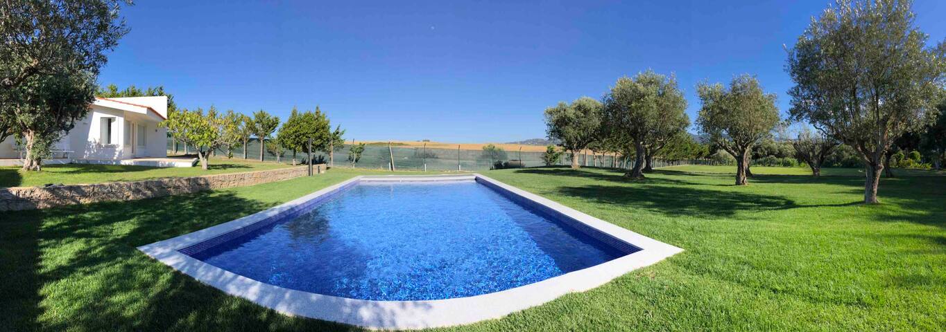 Quinta das Oliveiras gallery image 3