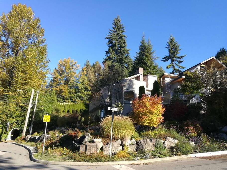 Summer View of the House