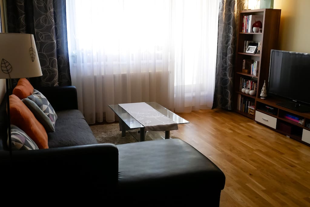 Living room with a sofa bed