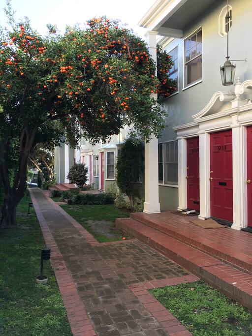 Front Yard