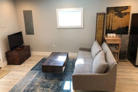 Spacious and Bright Petworth Apartment