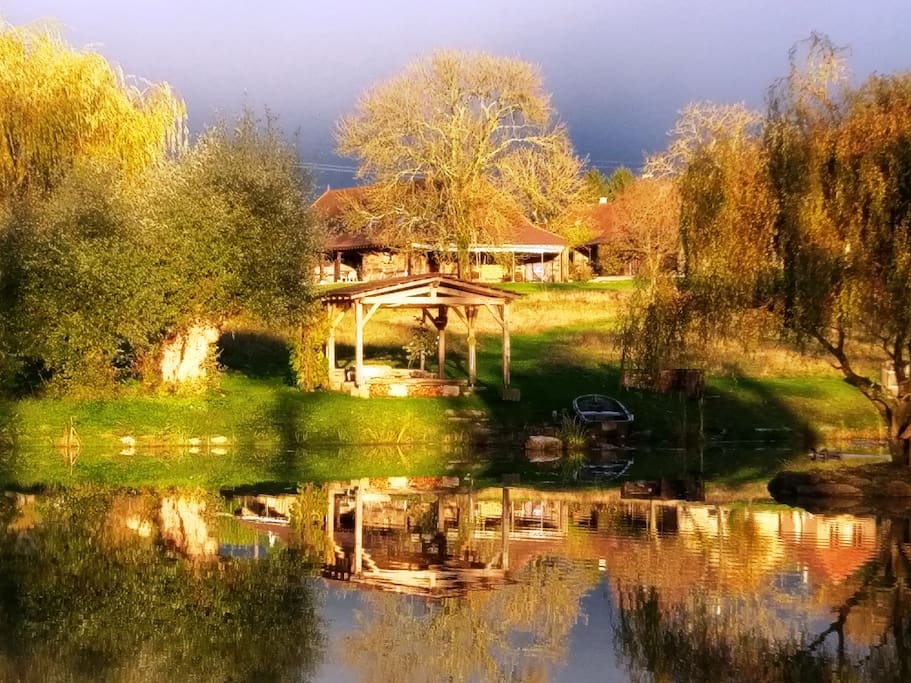 Les Chênes Cornus en automne par soleil couchant