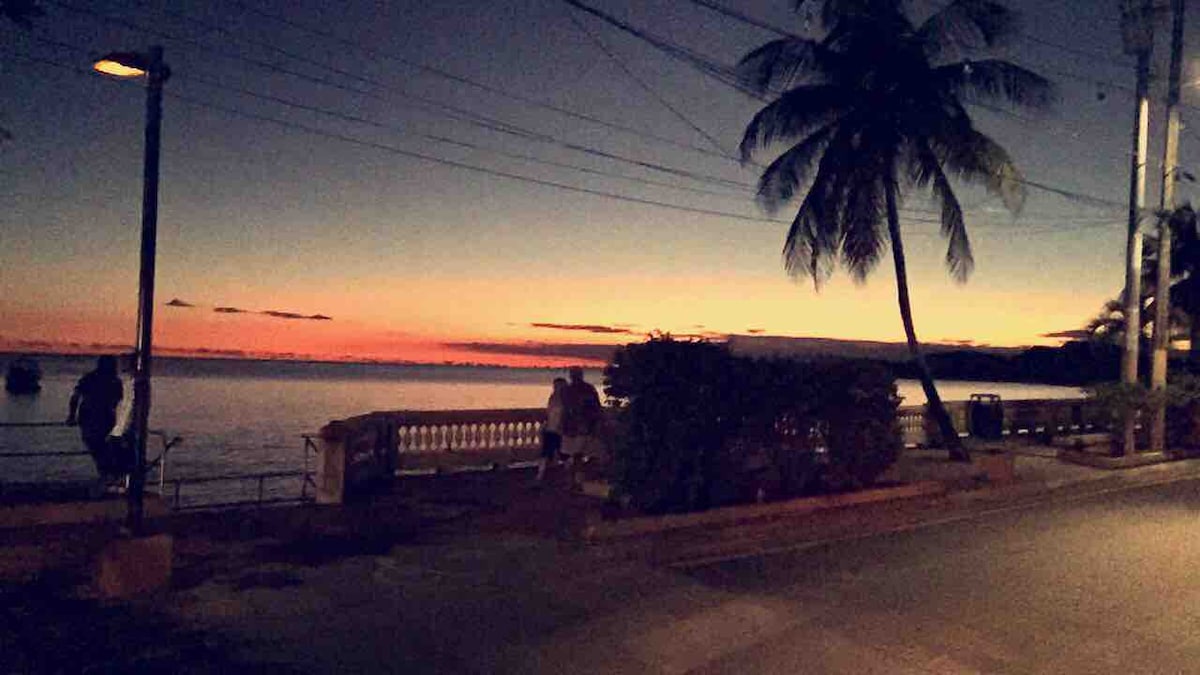 A serene evening scene features a palm tree silhouetted against a colorful sunset over the water. The horizon is painted with soft hues of orange and pink, while the calm waters reflect the fading light. A pathway is visible alongside the shoreline.