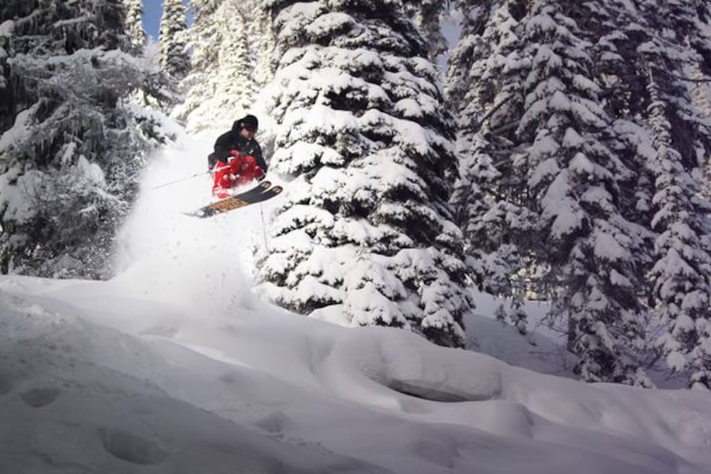 Family-style skiing provide all skill levels from bunny hills to black diamonds !