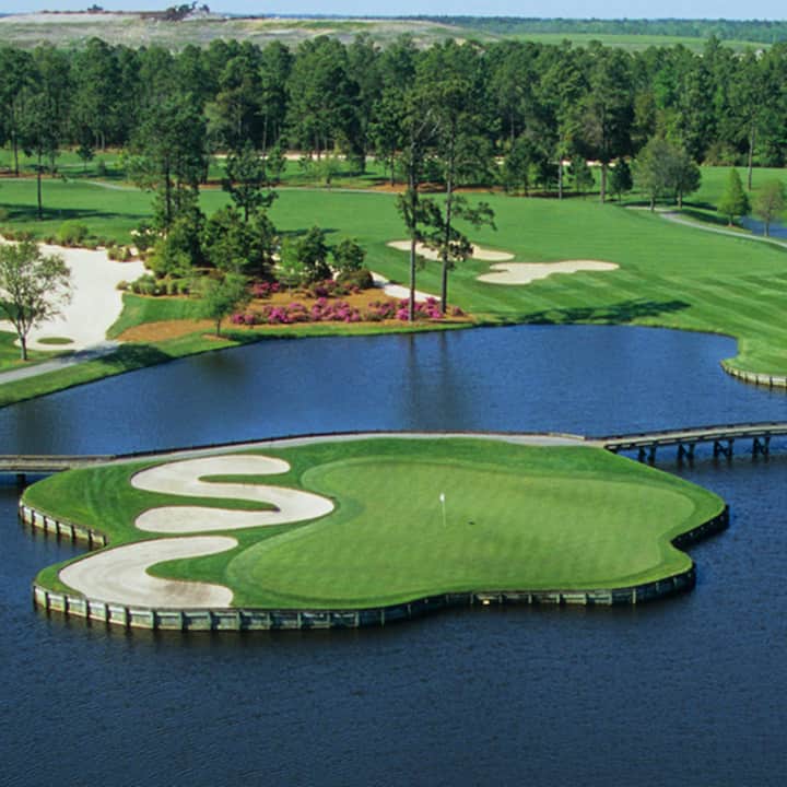 10 Best PetFriendly Airbnbs In Pawleys Island, South Carolina Updated 2024 Trip101