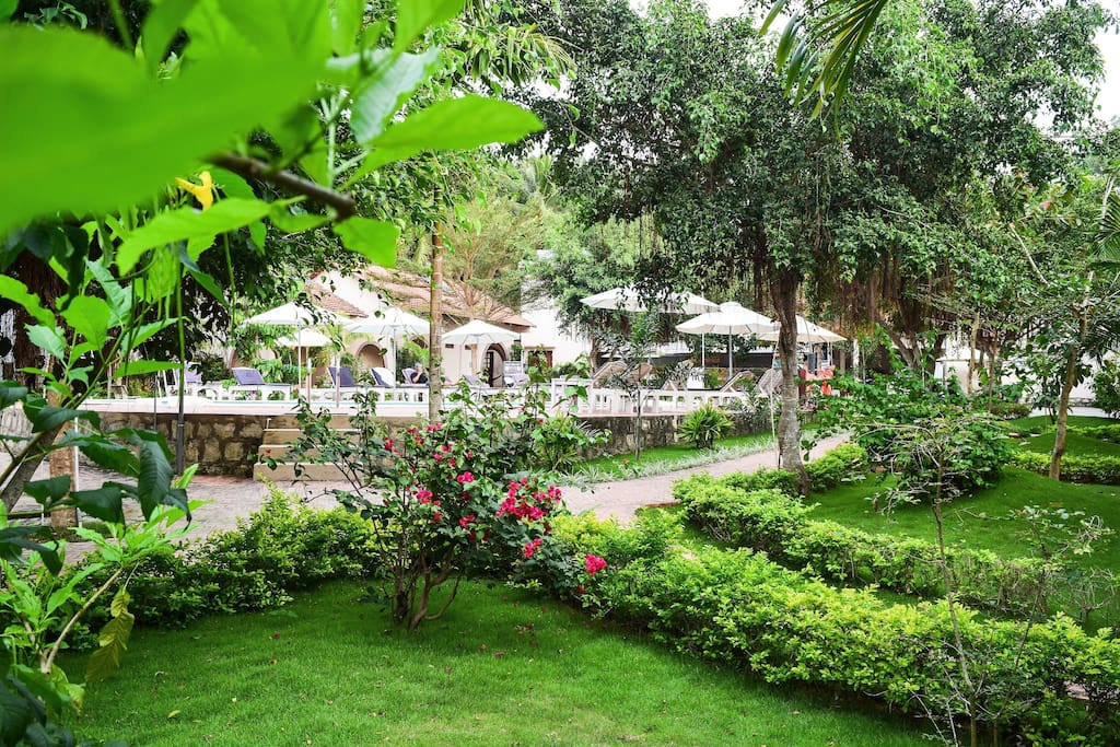 Garden