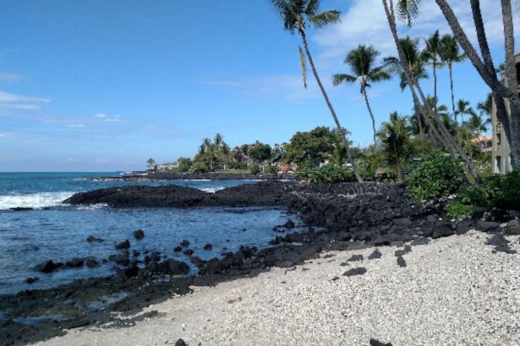 View looking north from beach side of complex.