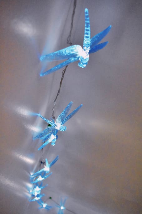 Up close view of dragonfly lights