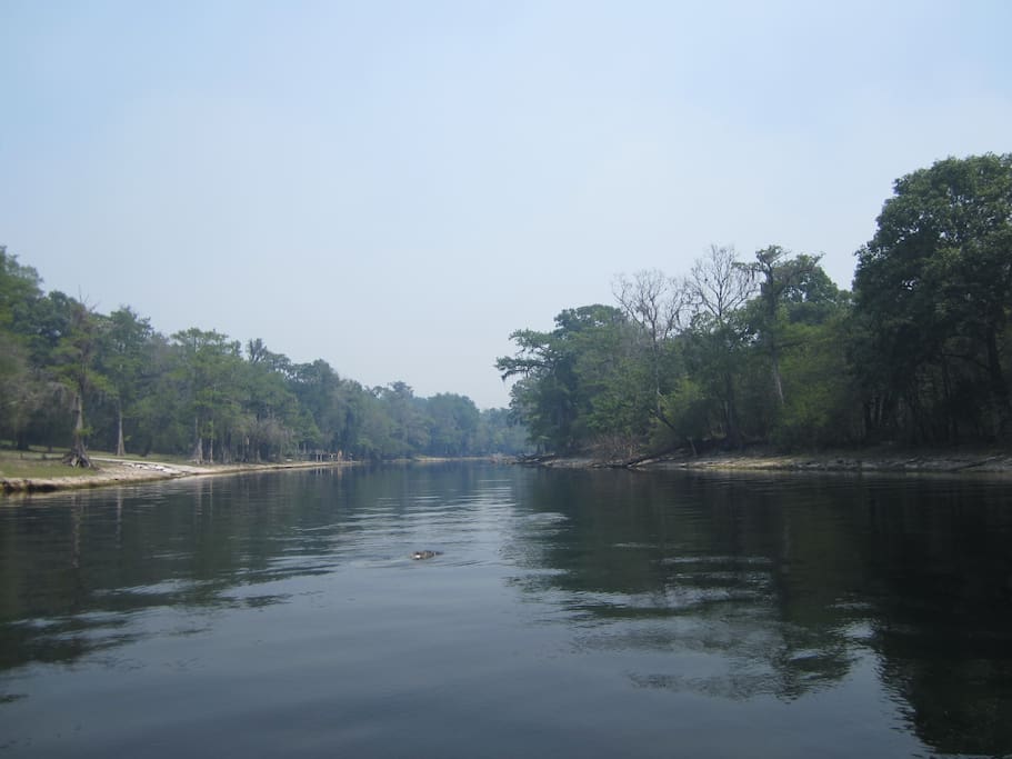 Looking down the river.