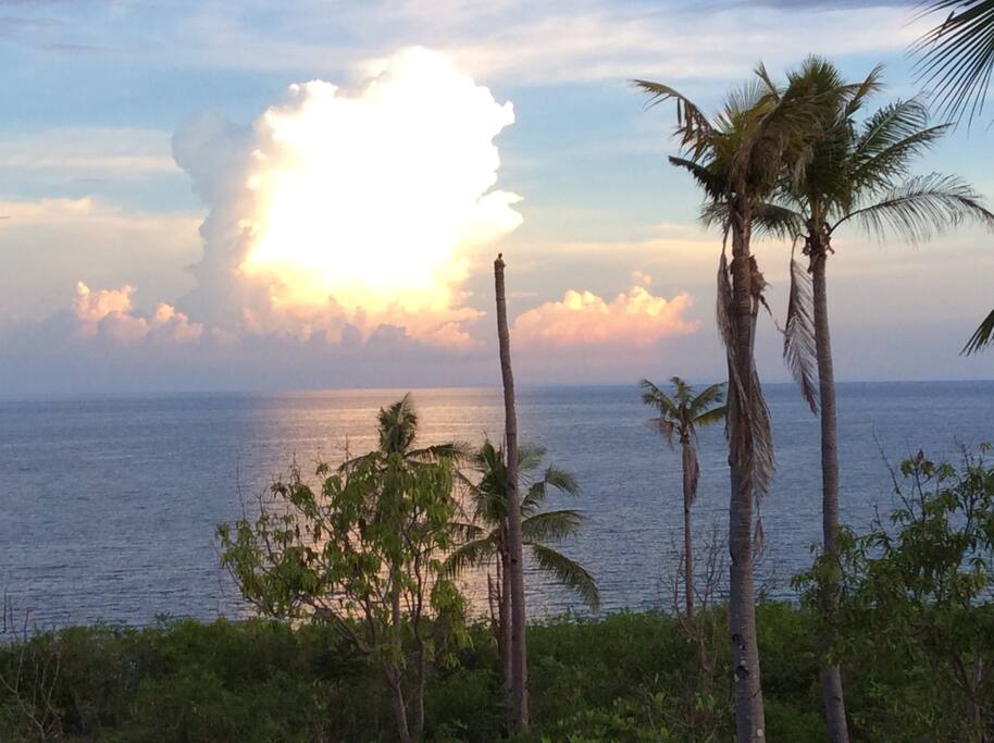 view from the verandah