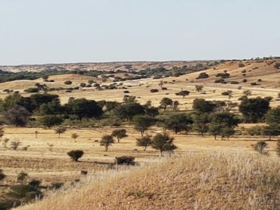View from the hills in the river valley