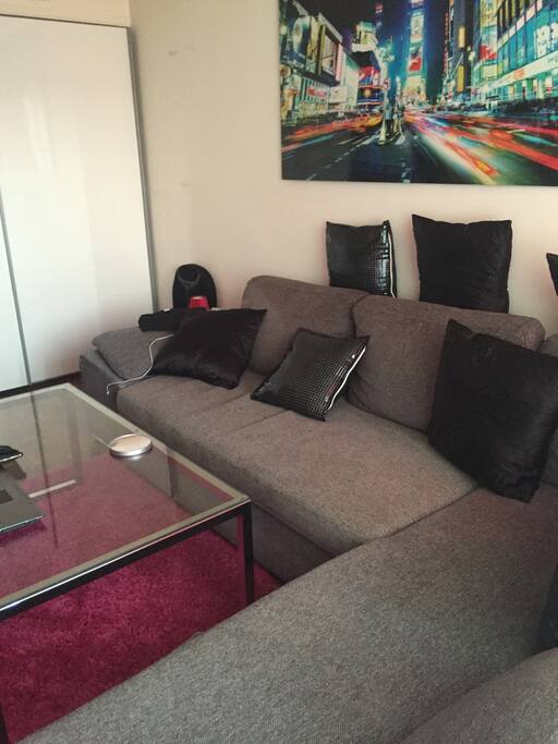 Salon/chambre avec télé écran plat fixé au mur. Canapé lit convertible. Armoire pour rangement. Baie vitré avec petit balcon. Volet électrique.